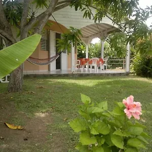 Corail Sainte-Rose